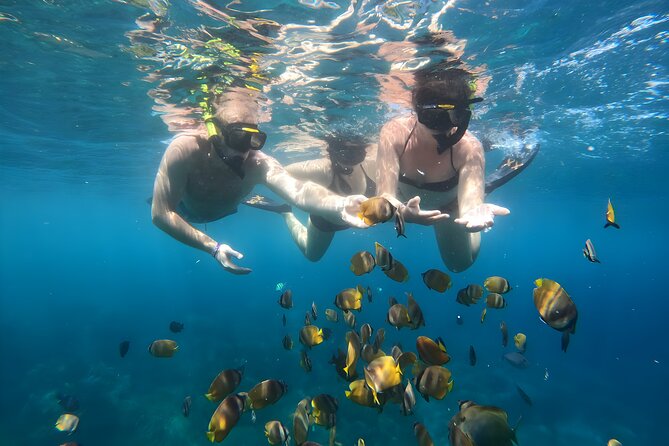 Snorkeling In Nusa Penida Departing From Bali Island - Snorkeling stops: what each location is likely to feel like