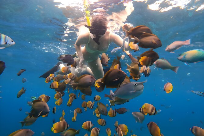 Snorkeling In Nusa Penida Departing From Bali Island - The “GoPro photos” part: worth it if you hate underwater selfies