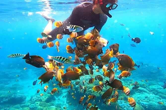 Snorkeling In Nusa Penida Departing From Bali Island - Weather reality check: when the sea gets grumpy