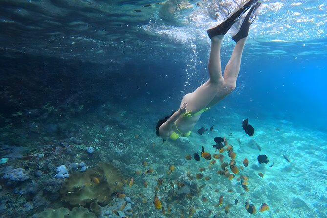 Snorkeling In Nusa Penida Departing From Bali Island - Staff and guides: what to expect from the people side