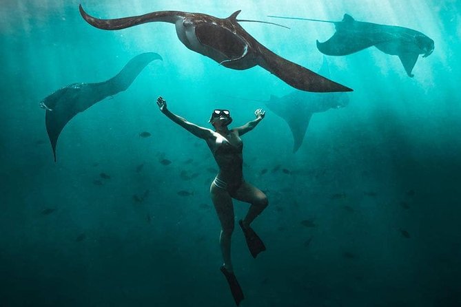 Snorkeling Manta Ray Safari in Nusa Penida - Key takeaways for this Nusa Penida snorkeling safari