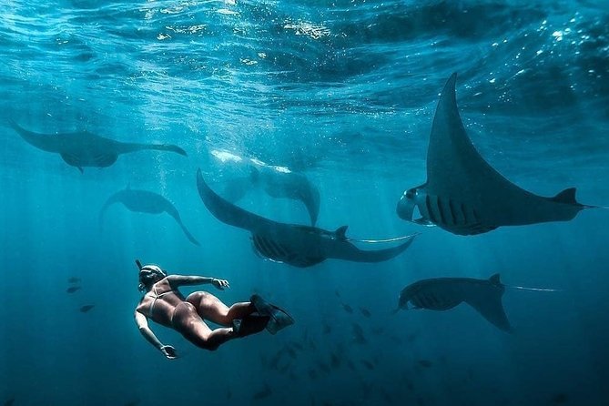 Snorkeling Manta Ray Safari in Nusa Penida - Why Nusa Penida manta snorkeling feels different from “just snorkeling”