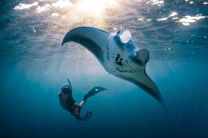 Snorkeling Manta Ray Safari in Nusa Penida - The boat day reality: small group, but expect a “manta moment”