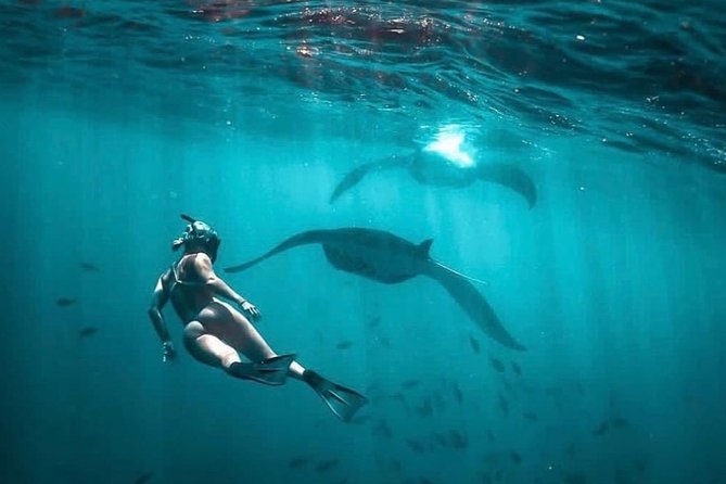 Snorkeling Manta Ray Safari in Nusa Penida - Photos and souvenirs: how the underwater shooting works for real life