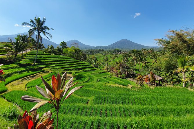 Solo or Group Tour - 10 Hours, 5 Persons Max - Price and Value: What $65 Really Buys You