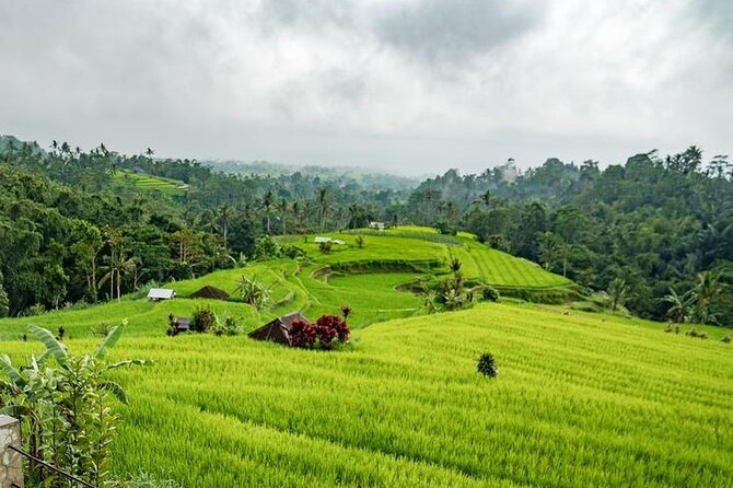 Tanah Lot and North Bali Tour: Scenic Journey - Wanagiri Hidden Hills: viewpoint time that breaks the driving