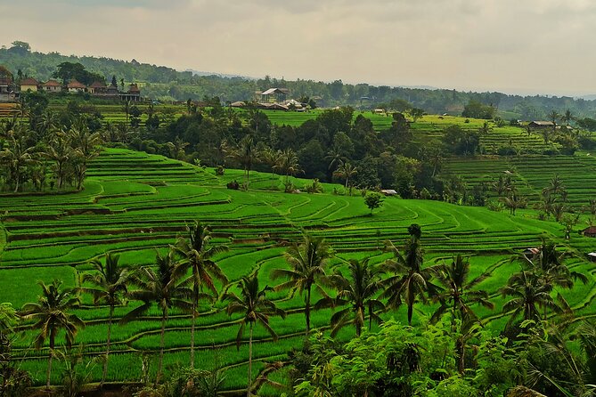 Tanah Lot Tour: Discover Bali’s Iconic Temple and Stunning Views - Stop 3: Lake Beratan and Ulun Danu Temple’s misty backdrop