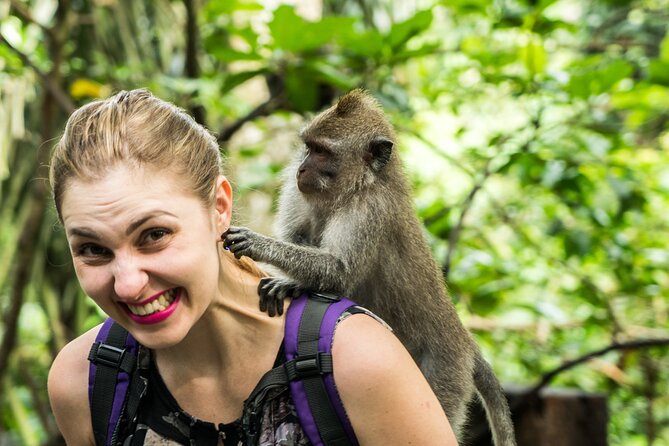 Tanah Lot Tour with Ubud Monkey Forest, Rice Terraces, and Waterfalls - Tanah Lot Temple on the Rock: Great Views, Crowd Reality, and Sunset Timing