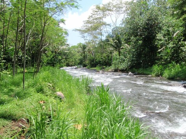 Telaga Waja River Rafting Bali & Zipline (Less Stairs) - Pickup timing: what your day schedule actually looks like