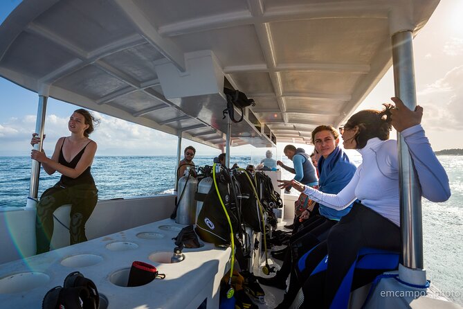 Two fun dives morning trip (Certified Divers only) - Underwater guidance in a small-group format