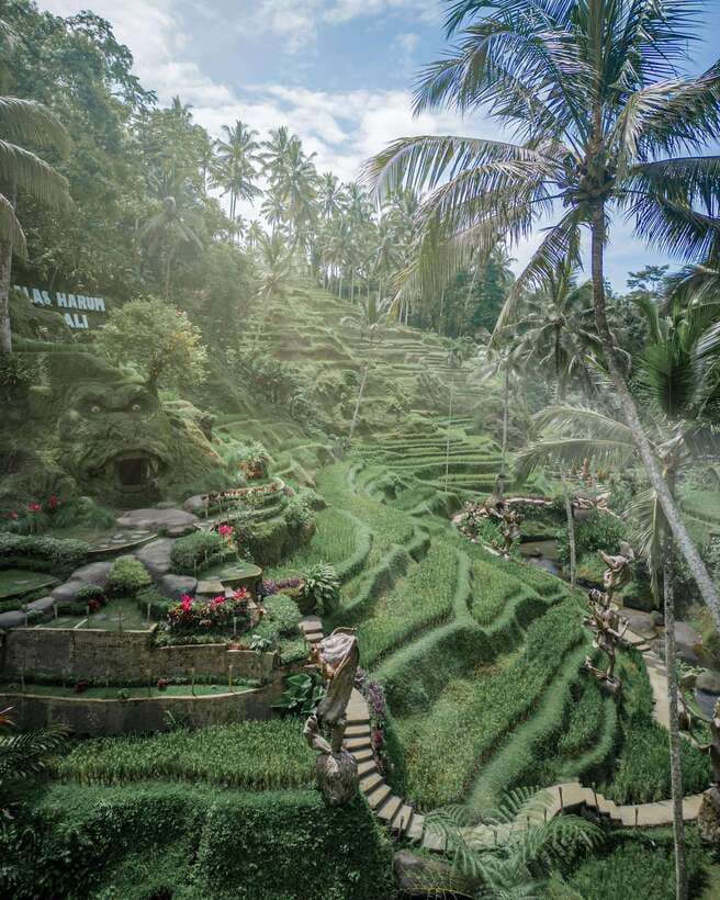 Ubud: Alas Harum Day-Pass, Swing, Sky Bike & Flying Fox - What this day pass is really about