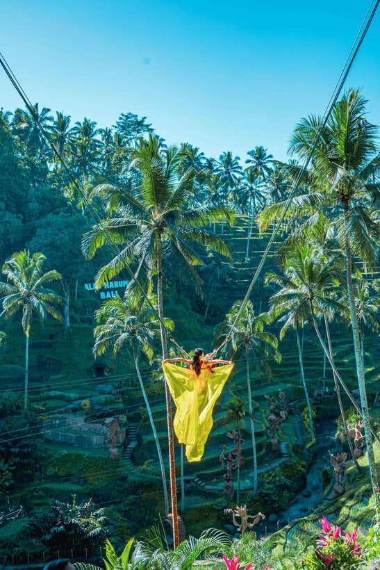 Ubud: Alas Harum Day-Pass, Swing, Sky Bike & Flying Fox - Flying Fox / Zip Line: 300 meters of glide