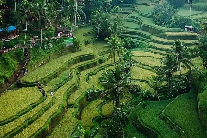 Ubud Bali Driver ( Bali Custom Tour ) - Timing, Weather, and The Things You Should Plan For