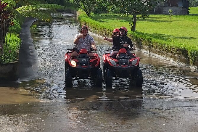 Ubud Bali Driver - Private Driver in Ubud - Stop 2: Tibumana Waterfall (45 Minutes for Natural Views)