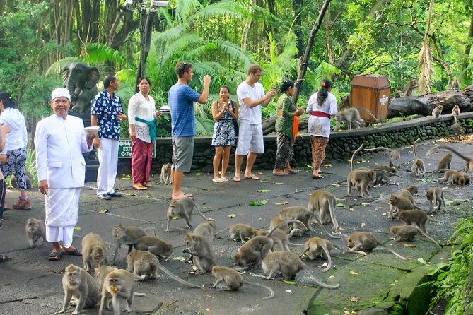 Ubud Day Tour: Sacred Monkey Forest, Tegenungan Waterfall, Rice Terrace - Ubud Traditional Art Market and Ubud Palace: souvenirs plus context