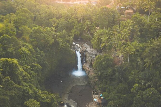 Ubud Day Tour: Sacred Monkey Forest, Tegenungan Waterfall, Rice Terrace - Sacred Monkey Forest Sanctuary: how this stop sets the tone