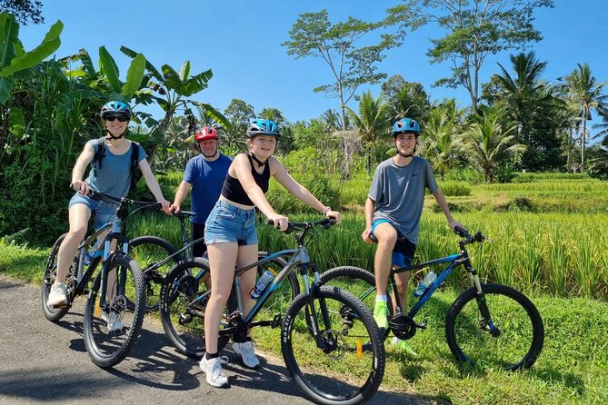 Ubud: Downhill Cycling with Volcano, Rice Terraces and Meal - Mount Batur stop: volcano, caldera, and lake views before you pedal