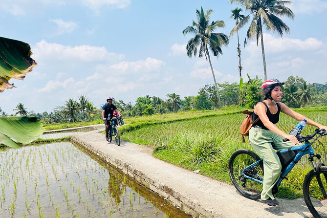 Ubud eBikes Tour to Tegallalang Rice Terrace - Petulu by two wheels: a breather before rice terraces