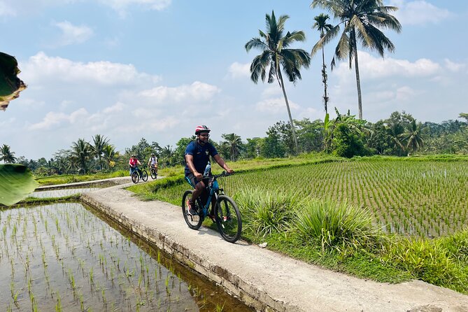 Ubud eBikes Tour to Tegallalang Rice Terrace - The most memorable part: Balinese home, temple, and cultural context