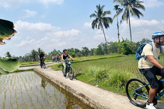Ubud eBikes Tour to Tegallalang Rice Terrace - Tegallalang Rice Terrace: lunch with a view (and the right expectations)