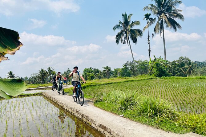 Ubud eBikes Tour to Tegallalang Rice Terrace - Coffee and tea tasting: a pleasant bonus if it’s offered