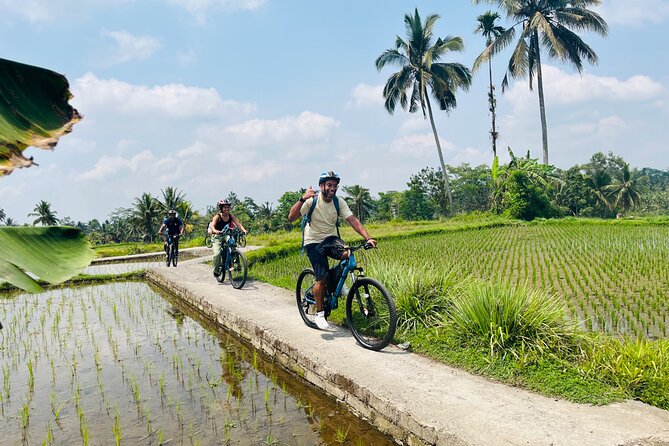 Ubud eBikes Tour to Tegallalang Rice Terrace - Guides make the difference: names to remember