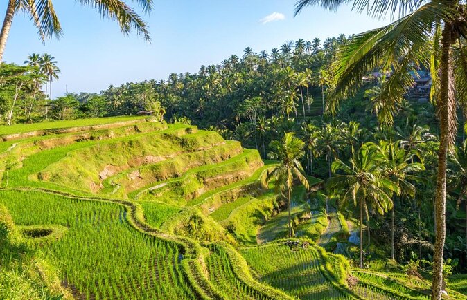 UBUD Instagram Spot Tour with Photographer - Key Things to Know Before You Go