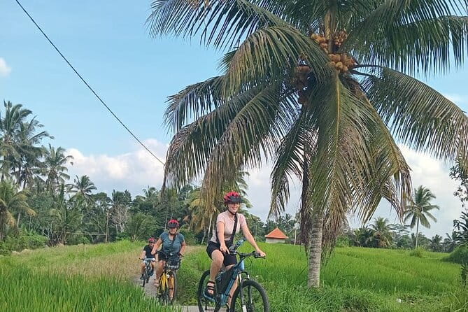 Ubud : Kintamani Downhill Cycling Tour with Lunch - Why this Ubud–Kintamani downhill ride feels different than a standard tour