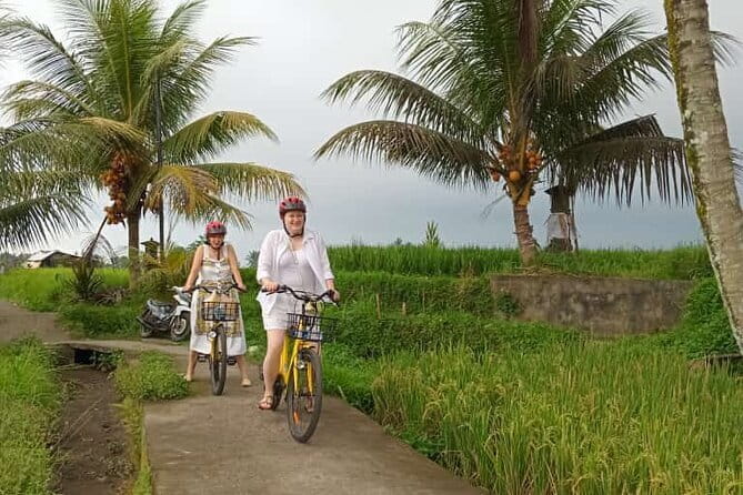 Ubud : Kintamani Downhill Cycling Tour with Lunch - Timing and what 6 hours really means for your day