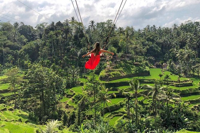 Ubud: Monkey Forest, Jungle Swing, Rice Terrace, and Water Temple - How the Day Works: A Full 8–10 Hours That Tries to Hit Everything