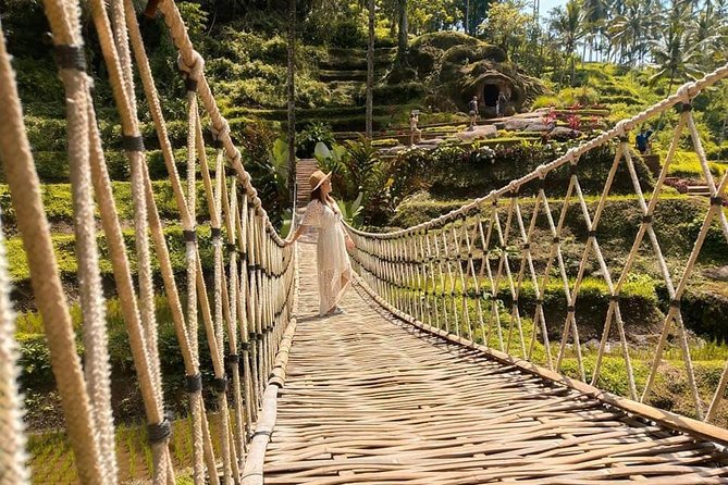 Ubud: Monkey Forest, Jungle Swing, Rice Terrace, and Water Temple - Sacred Monkey Forest Sanctuary: Shade, Birds, Lizards, and Real Monkey Encounters