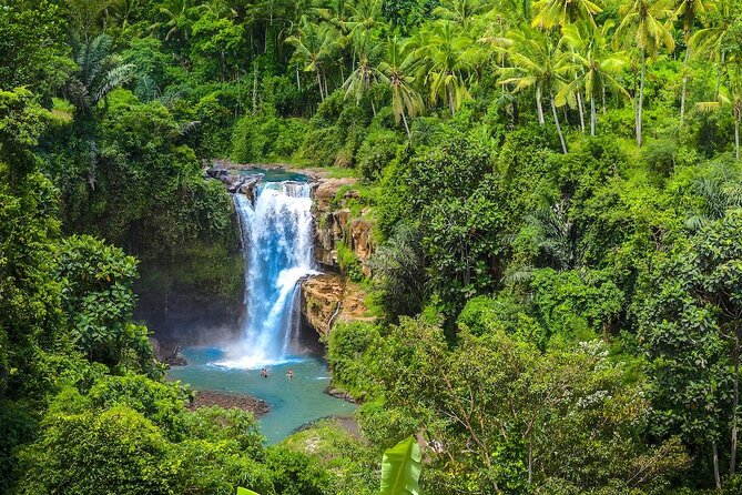 Ubud: Monkey Forest, Jungle Swing, Rice Terrace, and Water Temple - Price and Value: What You’re Paying for at $31