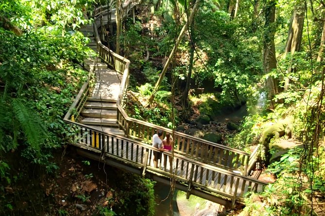 Ubud Private Tour : Best Of Ubud - Guided Tour - Meet Ketut Suwenda: The Guide Factor