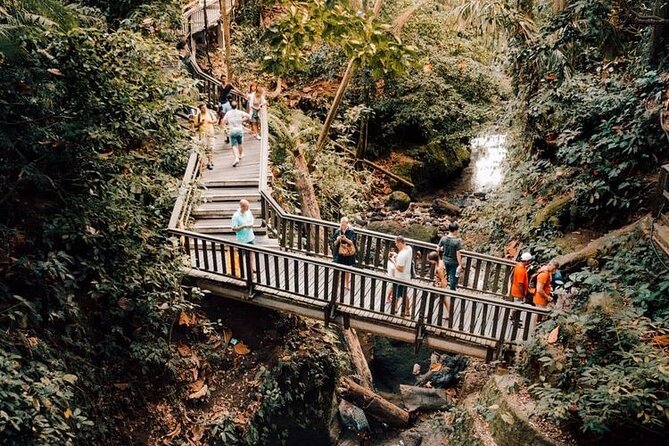 Ubud Private Tour: Monkey Forest, Rice Terrace, Temple, Waterfall - Tegalalang Rice Terraces: valley-curved views with photo time