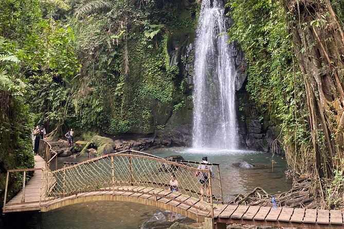 Ubud Private Tour: Monkey Forest, Rice Terrace, Temple, Waterfall - Tebasari Resto, Bar & Lounge lunch: a built-in break