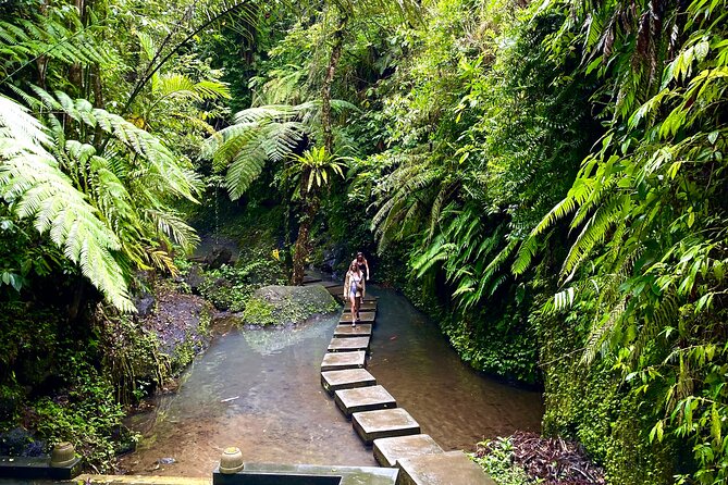 Ubud Private Tour: Monkey Forest, Rice Terrace, Temple, Waterfall - Ulu Petanu Waterfall: your swim-and-photo moment