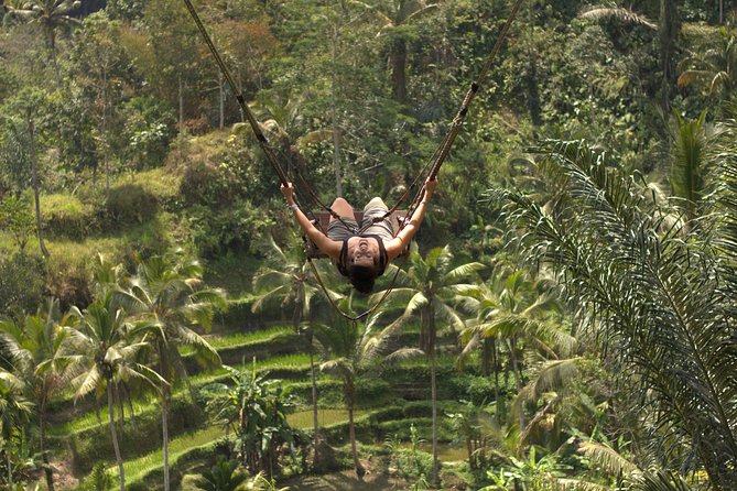Ubud Top Attractions: Waterfalls, Temples and Rice Terraces - Lunch at D’Alas Warung: where the view matches the meal