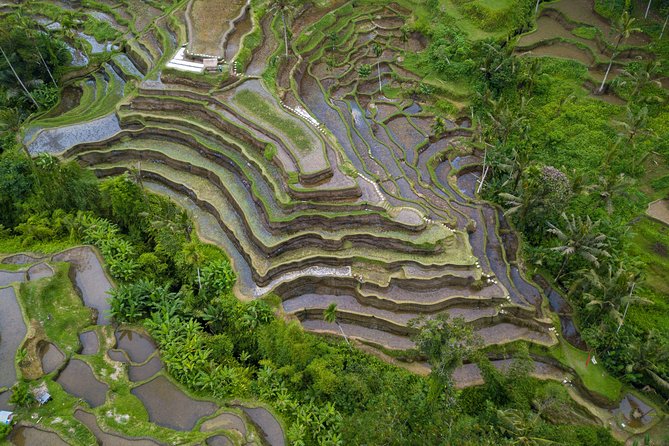 Ubud Top Attractions: Waterfalls, Temples and Rice Terraces - Getting the timing right: stairs, photos, and staying comfortable