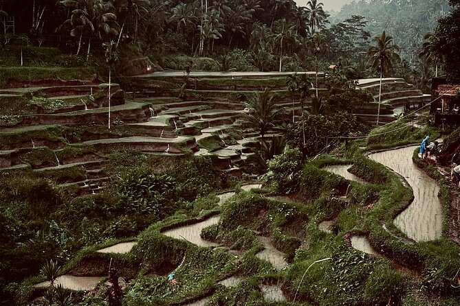 Ubud Top Tours to Discover Bali’s Cultural and Natural Wonders - What You Get: a Private Ubud Circuit With Tickets Already Covered