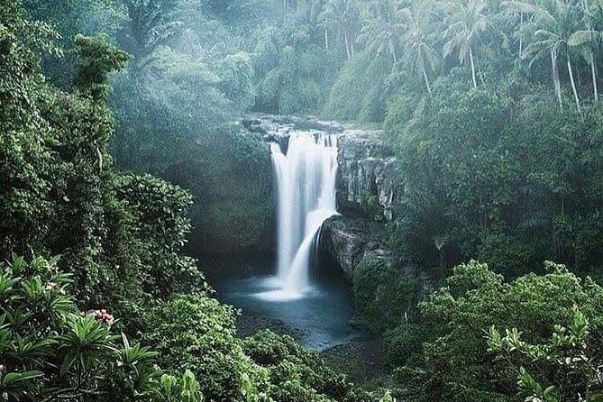 Ubud Top Tours to Discover Bali’s Cultural and Natural Wonders - Stop 4: Pakudui Village and the Tegalalang Rice Terraces Viewpoints