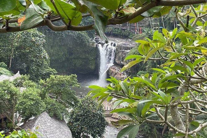 Ubud Tour - Highlight of Ubud - Traditional Tour - Stop 4: Tegalalang Rice Terrace, where the views meet work