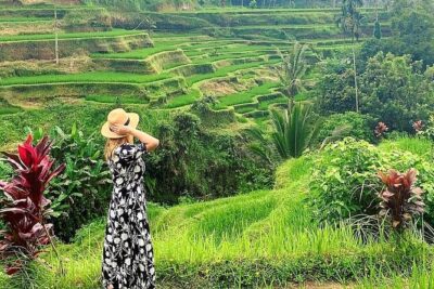 Ubud Tour - Ubud Highlight - Private Tour All inclusive - Pickup from Seminyak to Ubud: How the Day Runs