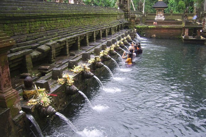 Ubud Tour - Ubud Highlight - Private Tour All inclusive - Tegalalang Rice Terrace: A 45-Minute Pause for Big Views