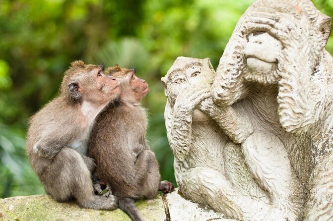 Ubud Tour with Swing, Temple, Monkey Forest, and Waterfall - Key highlights you’ll feel on this Ubud day