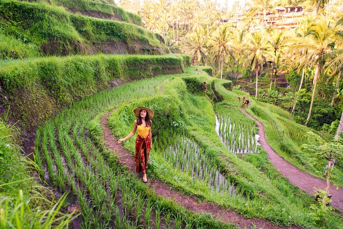 Ubud Tour with Swing, Temple, Monkey Forest, and Waterfall - Sacred Monkey Forest Sanctuary: close encounters with a serious rulebook