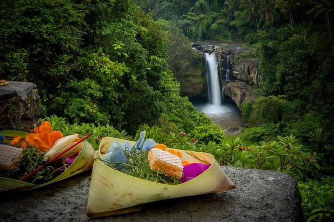 Ubud Tour with Swing, Temple, Monkey Forest, and Waterfall - The coffee and tea plantation stop: a palate and story break