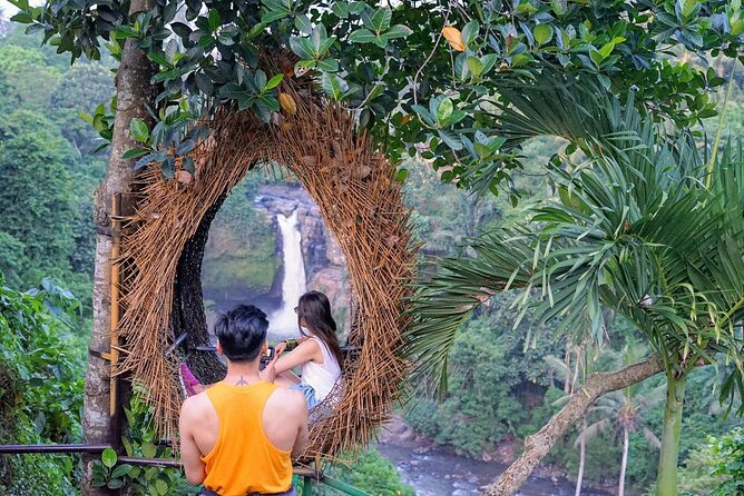 Ubud Trip, The Best of Ubud in a day - All Inclusive - Price and value: what $48.73 gets you in Ubud