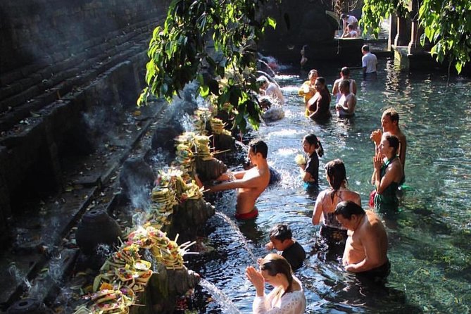 Ubud Trip, The Best of Ubud in a day - All Inclusive - Tegalalang rice terraces: the famous view, plus what to watch for