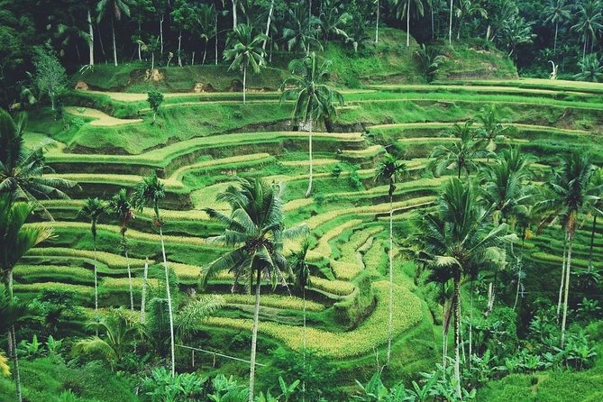 Ubud Trip, The Best of Ubud in a day - All Inclusive - Celuk Village: silver and gold jewelry made the traditional way