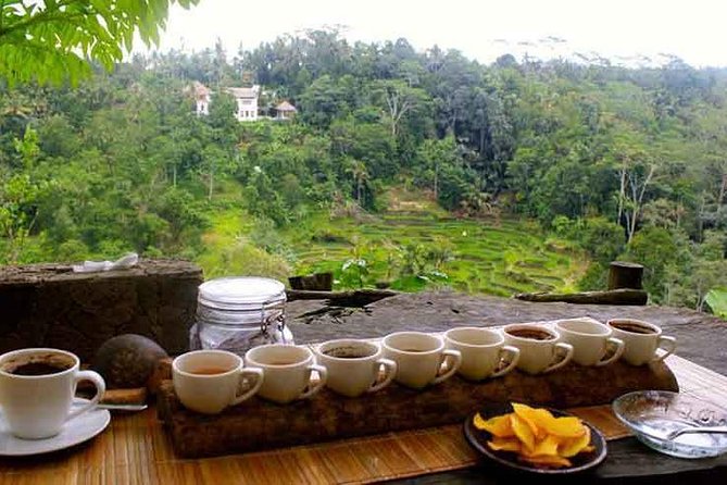 Ubud Trip, The Best of Ubud in a day - All Inclusive - What’s missing: lunch and shopping (plan for it)